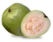 GUAVA