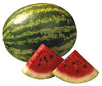 WATER MELON