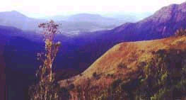 Idukki