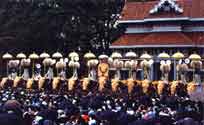 Thrissur Pooram