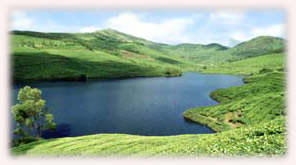 Munnar ----- means "three rivers".