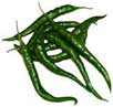 GREEN CHILLIES